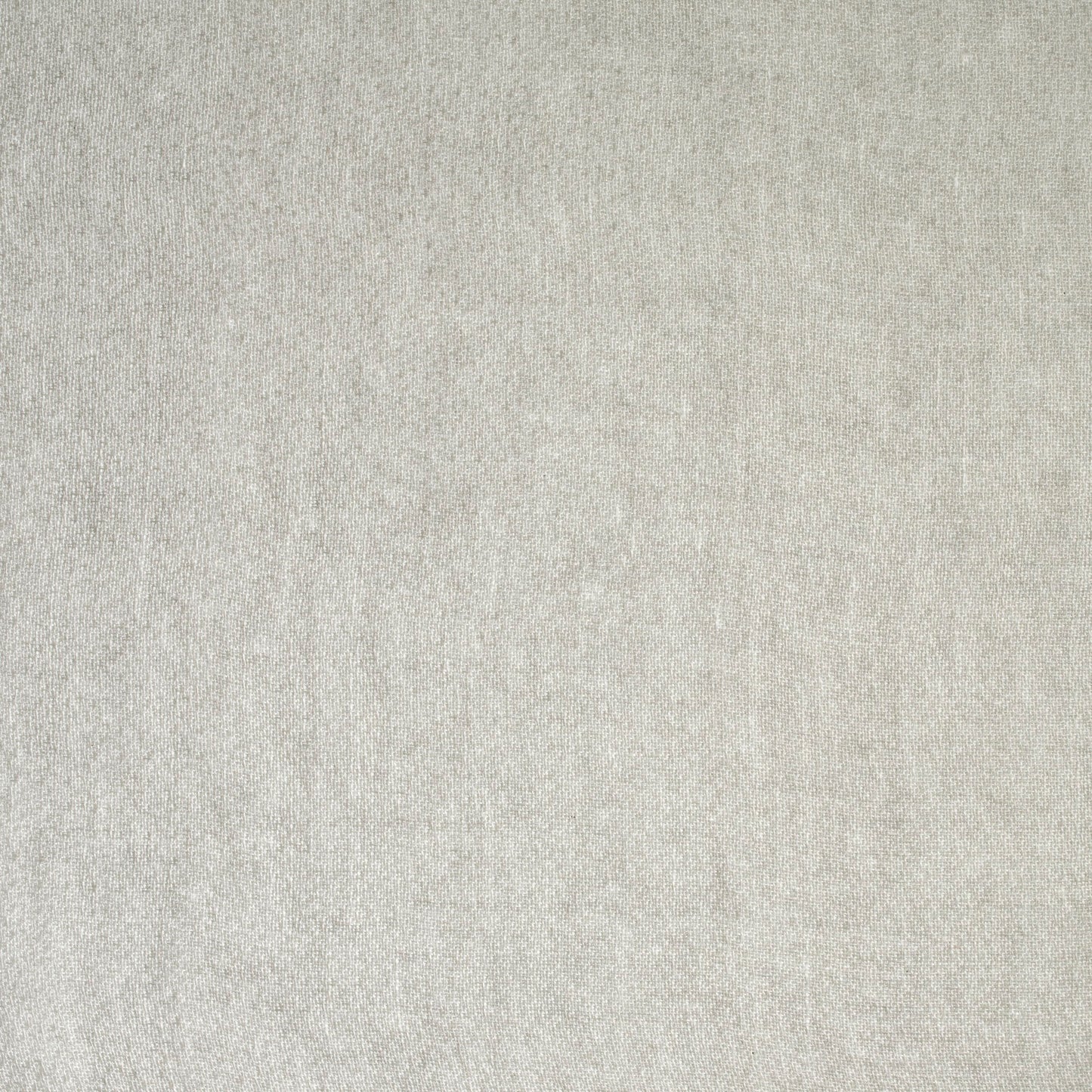 Solid light gray color swatch