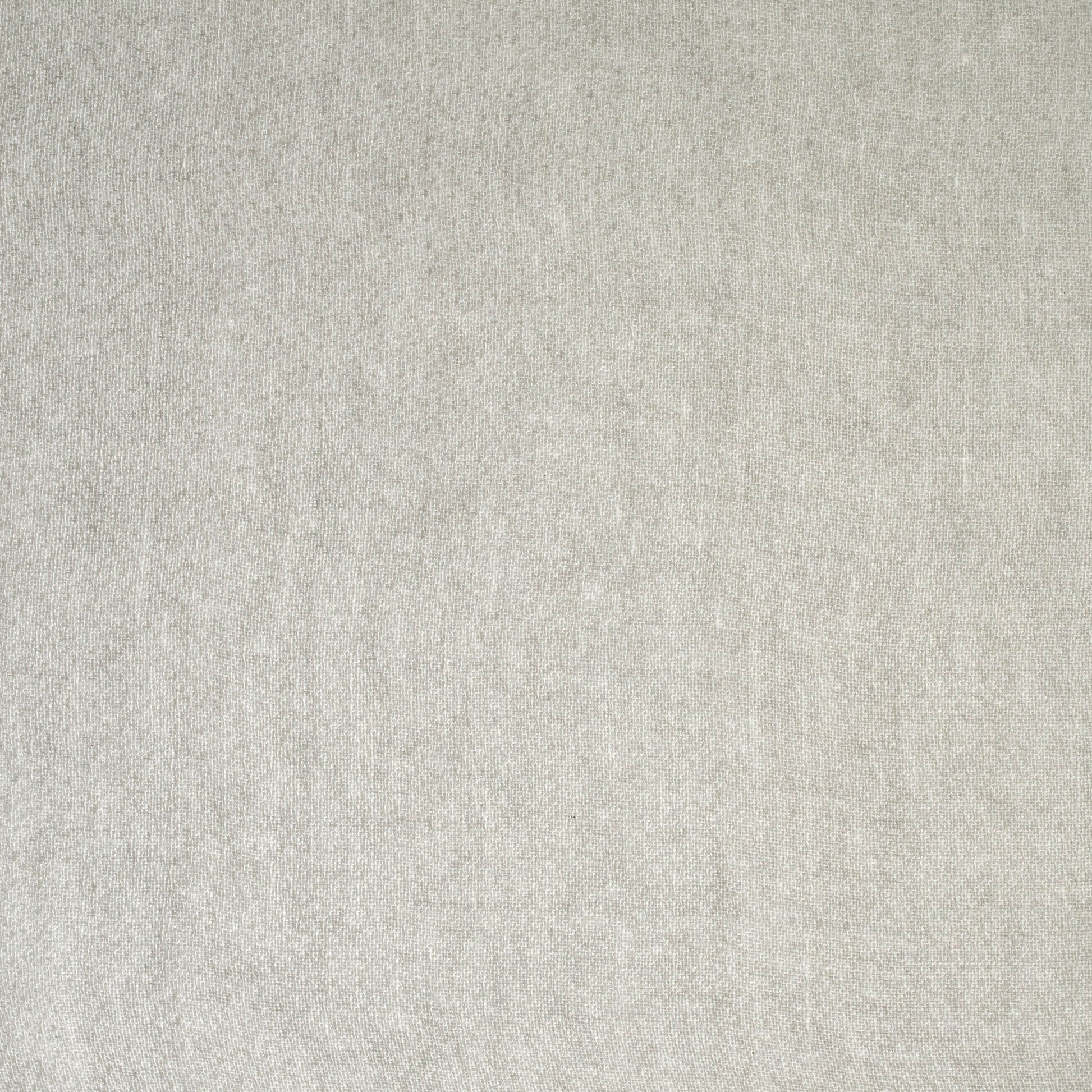 Solid light gray color swatch