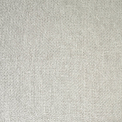 Solid light gray color swatch