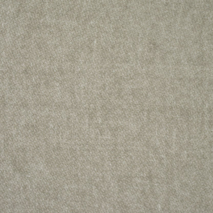 Weathered Web - Dust