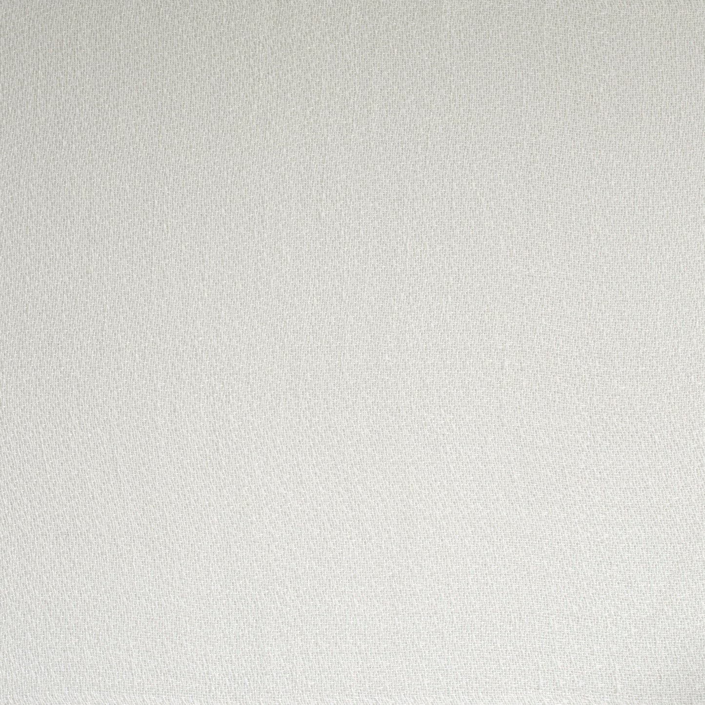 Solid light gray color swatch