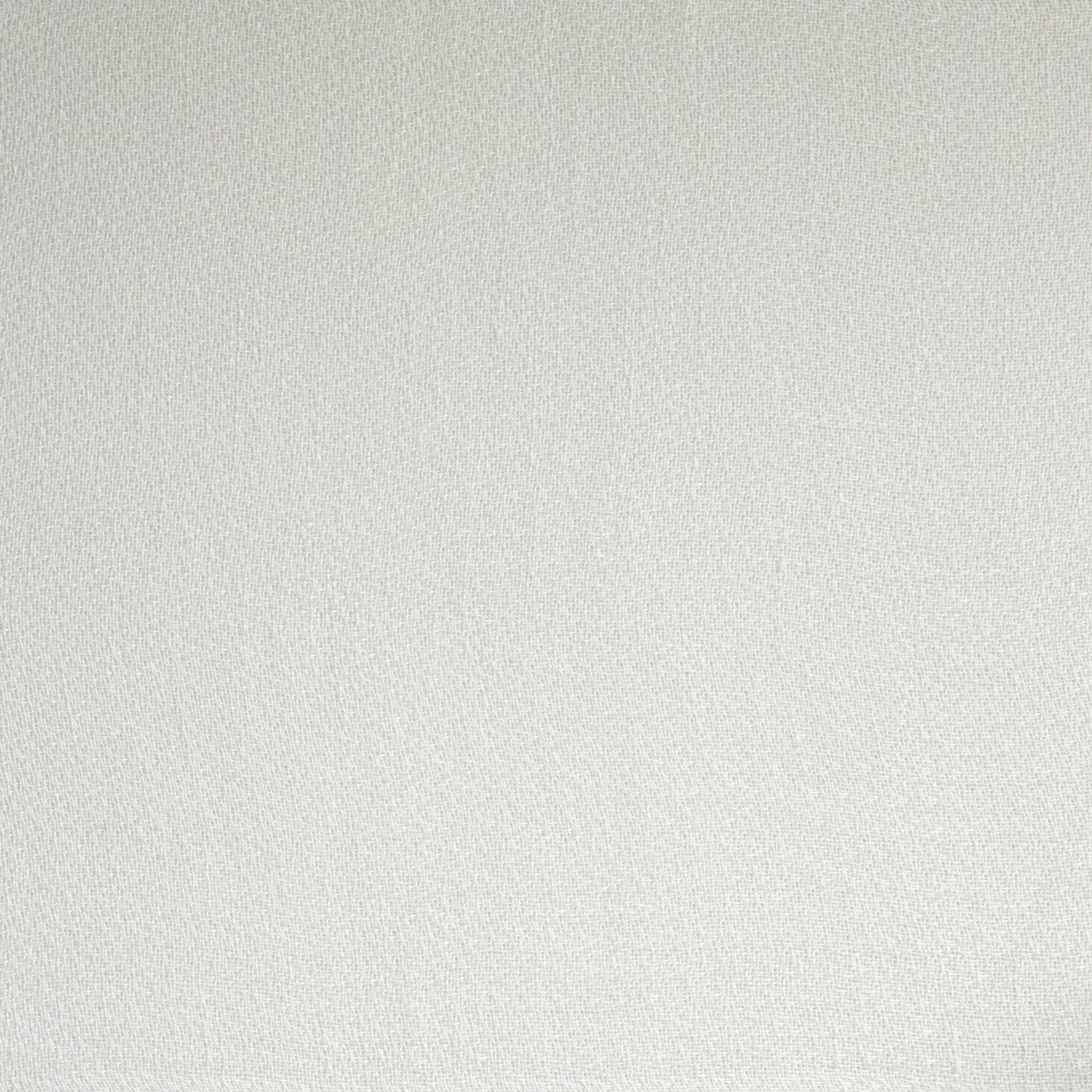 Solid light gray color swatch